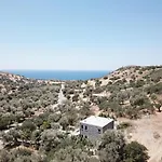 Blue Stone