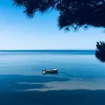 Leonardo, Houseboat In The Pool