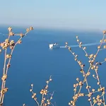 Palace Sea View