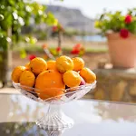 Venetia\'S Garden