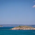 Panorama+