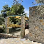 Ouzo Stone Studio
