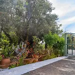 Sea & Olives House