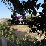 Galaxias Studios
