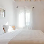 Your Mykonos X Whitelist