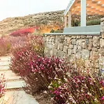 The Mykonist Executive Villa Elia Beach