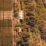 Aliki Studios