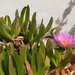 Asia