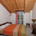 Dolphinstudios