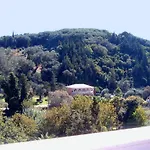 Angeliki