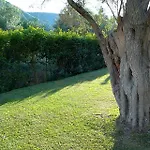 Ionian Breeze Studios