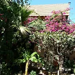 Olive Tree Cottages