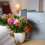 Meandros Suites