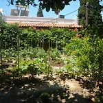 Lemon Tree House