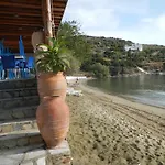 Lemon Tree House