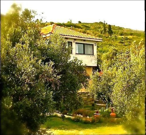 Kyra\'S Paradise