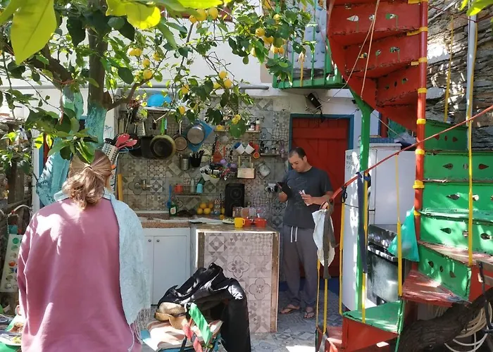 Lemon Tree House