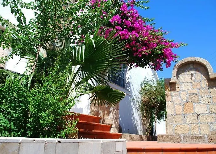 Theofilos Villa