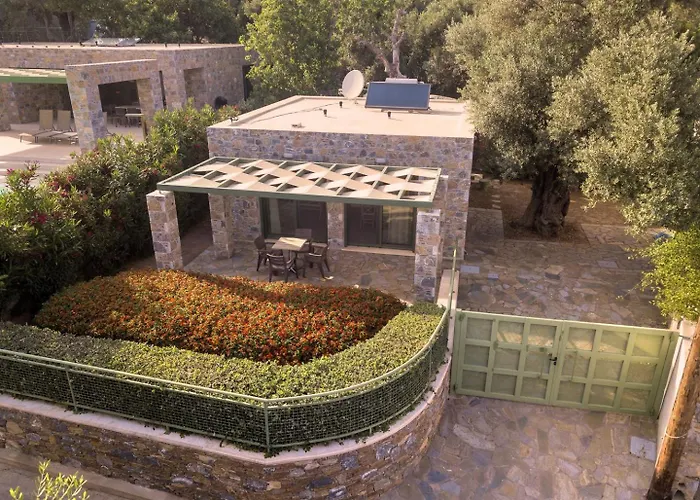 Ouzo Stone Studio