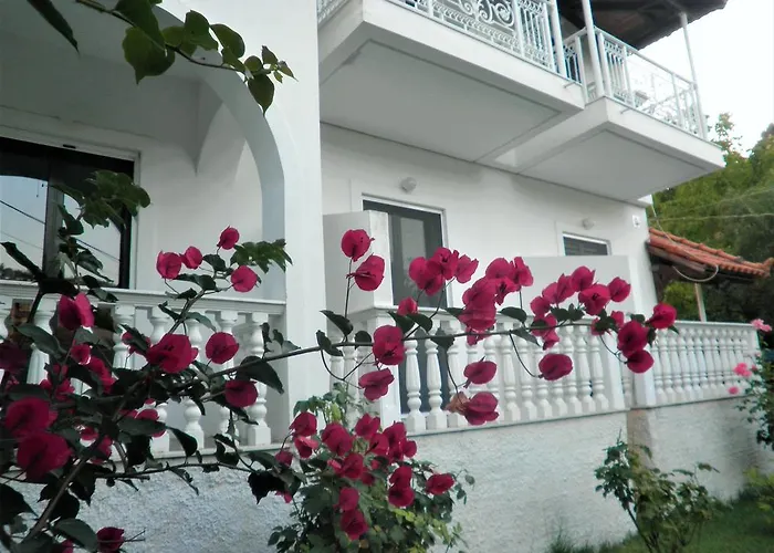 Aktipis Studios