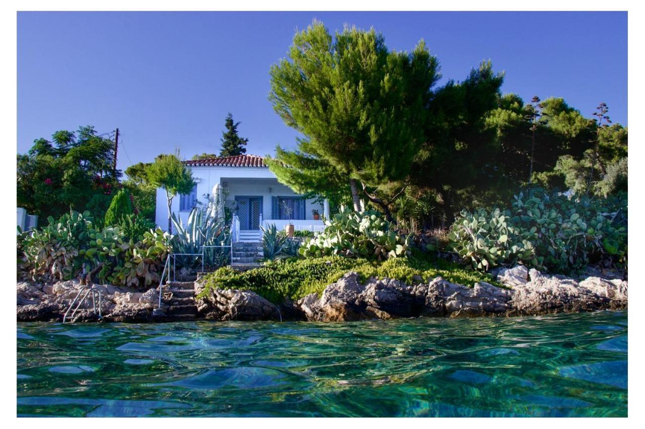 Grand Bleu & Apartment
