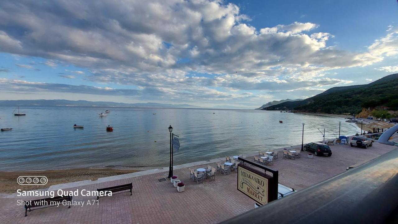 Delfinia