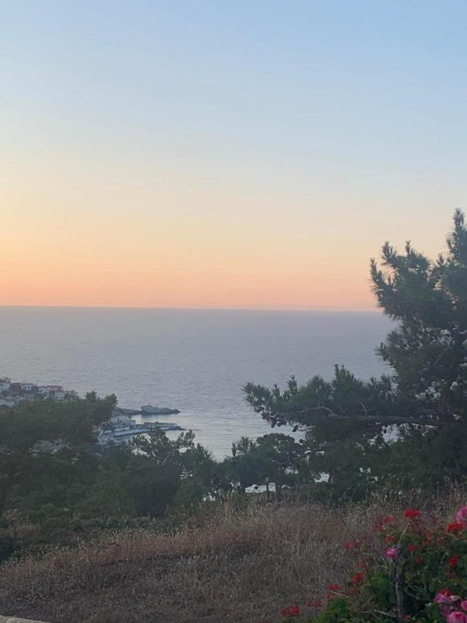 Apartment αρμονια στουντιο