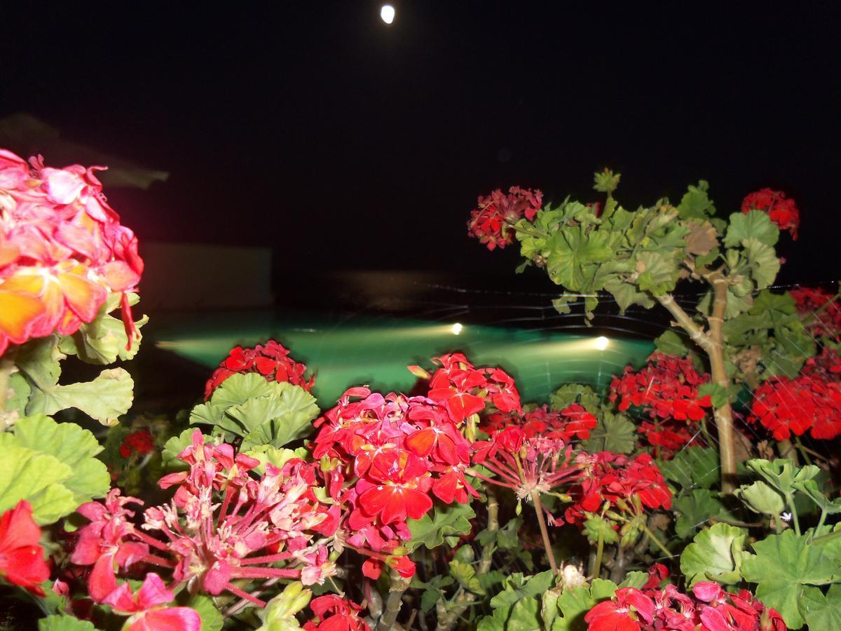 Aparthotel Ionio Star