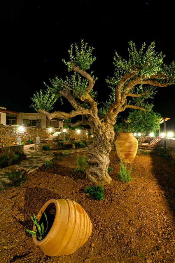 Guest house Yiannis Retreat