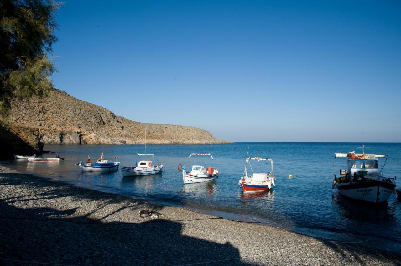 Guest house Yiannis Retreat Zakros