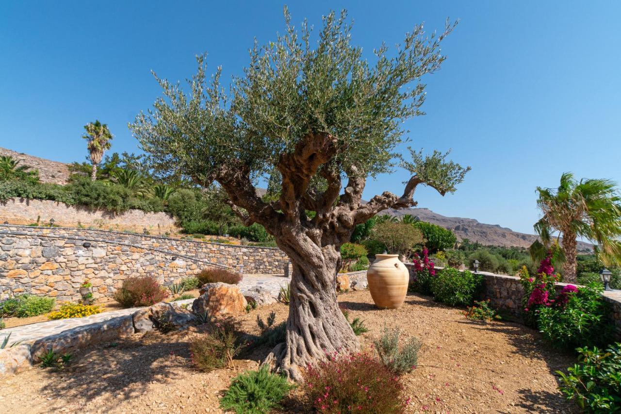 Guest house Yiannis Retreat