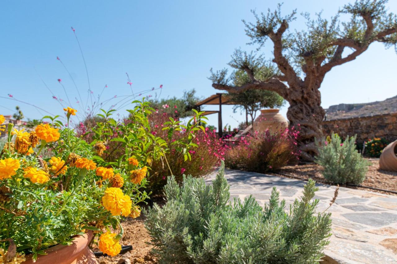 Yiannis Retreat Guest house Zakros