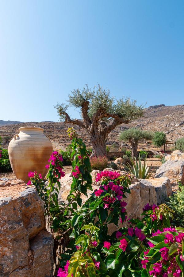 Yiannis Retreat Guest house 2*