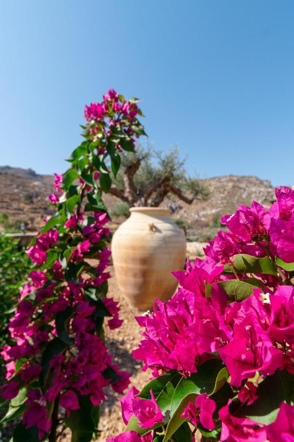 Guest house Yiannis Retreat Zakros