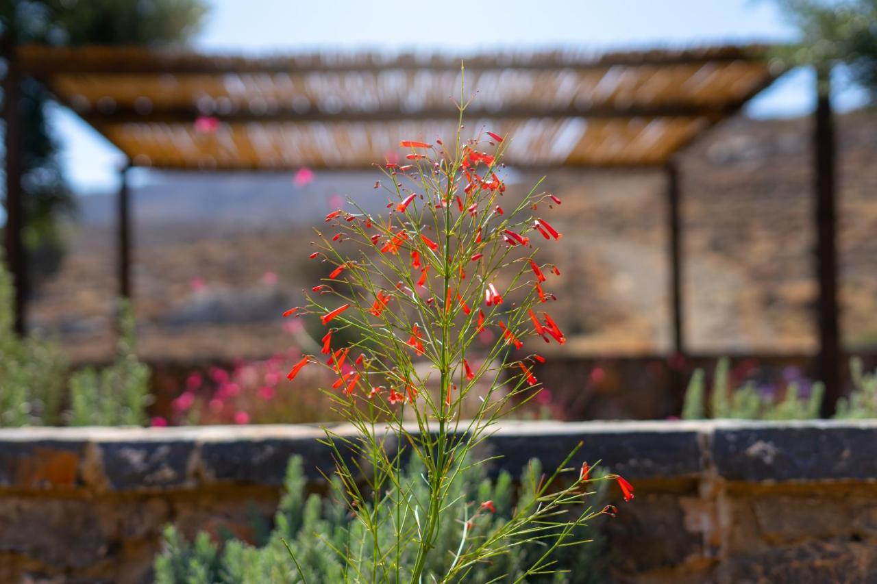 Yiannis Retreat Guest house