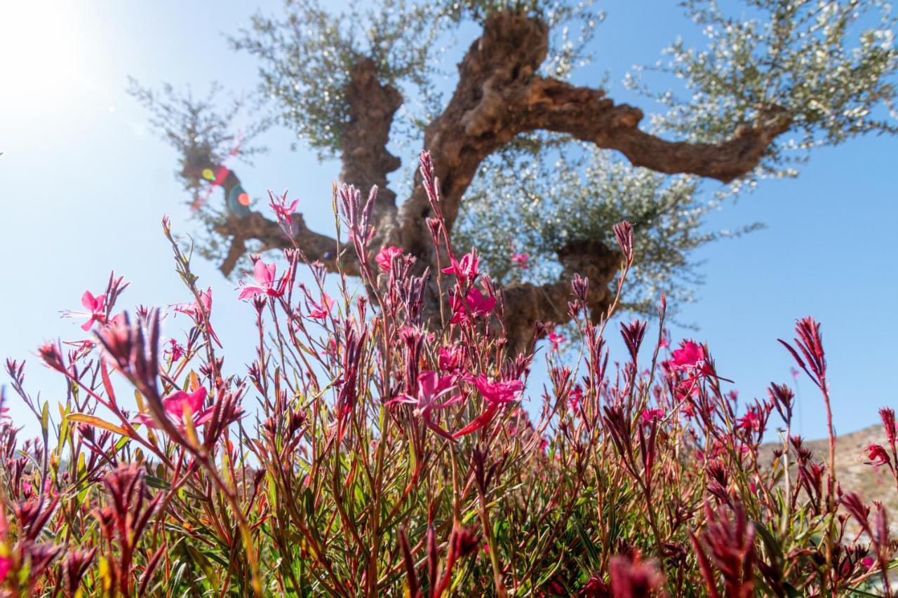 Yiannis Retreat Zakros