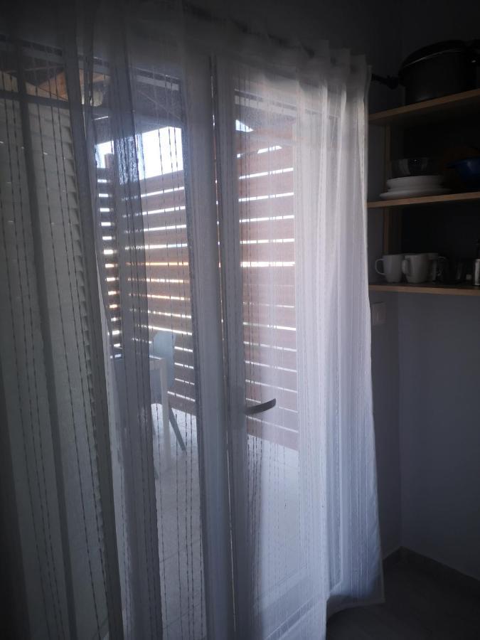 Gatos House 2