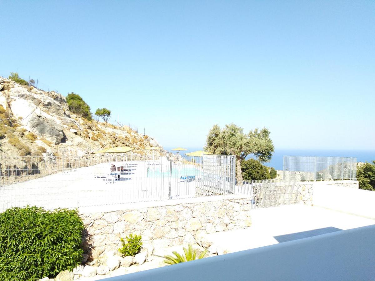 Bouganville Stegna *