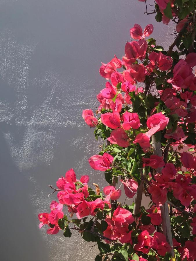 Yakinthos 4* Panormos (Mykonos)
