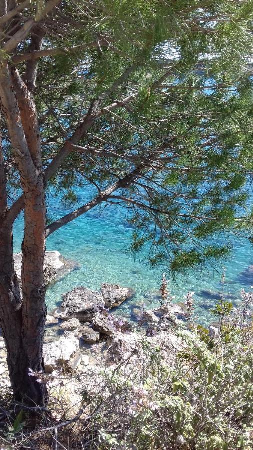 Guest house Iliolithos Kardamyli