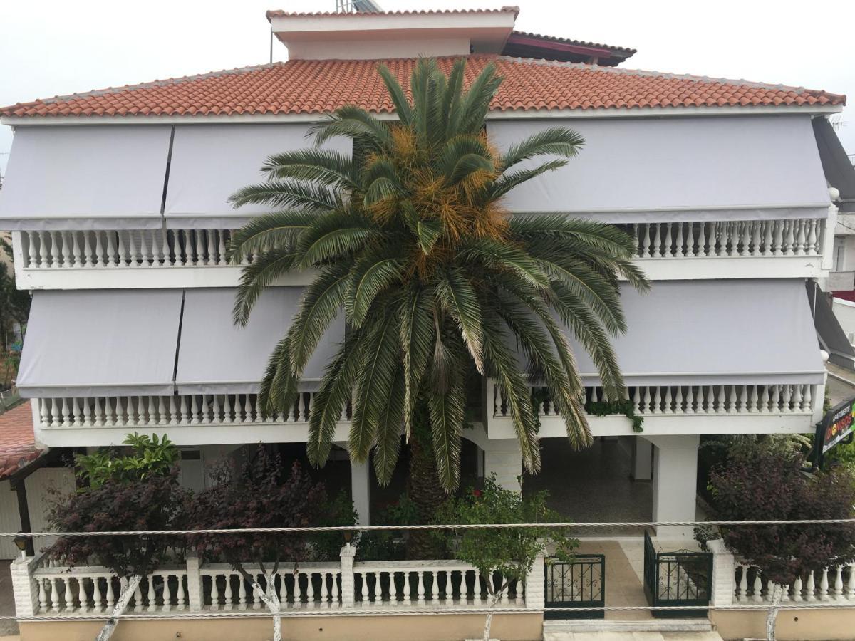 Dionisos Palms *