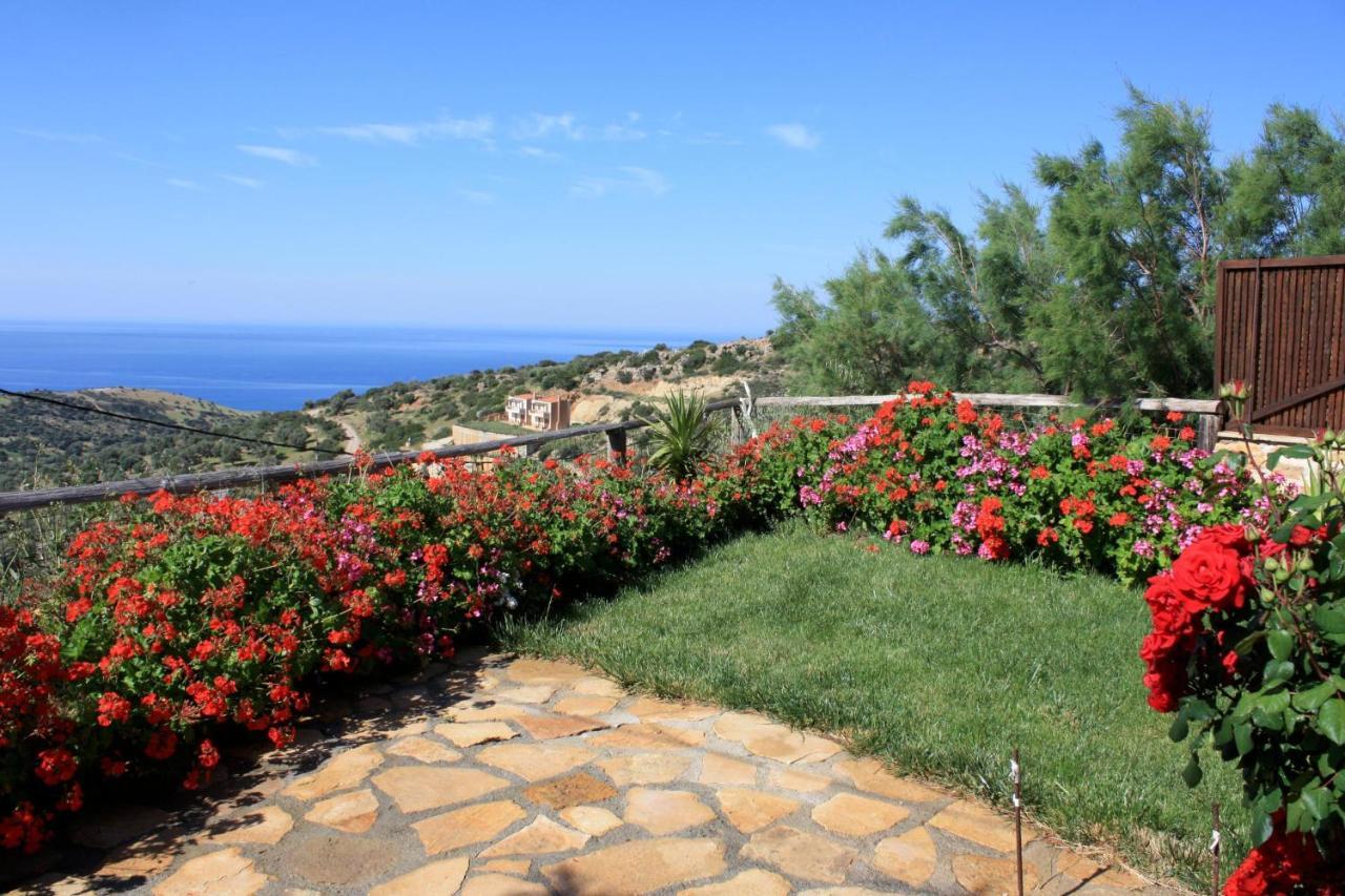 Maria-triopetra