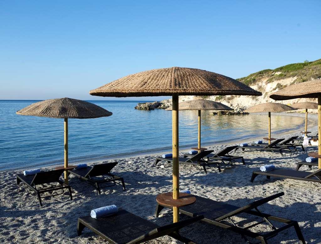 Proteas Blu (adults Only) 5*