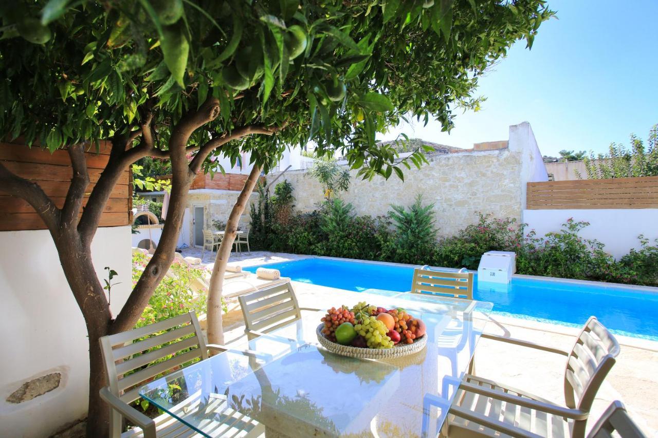 Oasis Kamilari