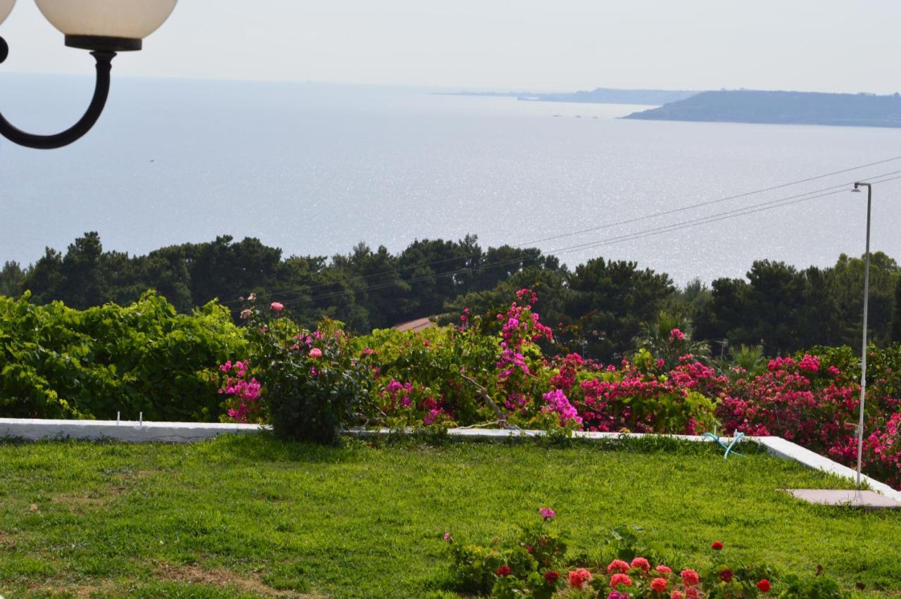 Mediterranean Lassi (Kefalonia)