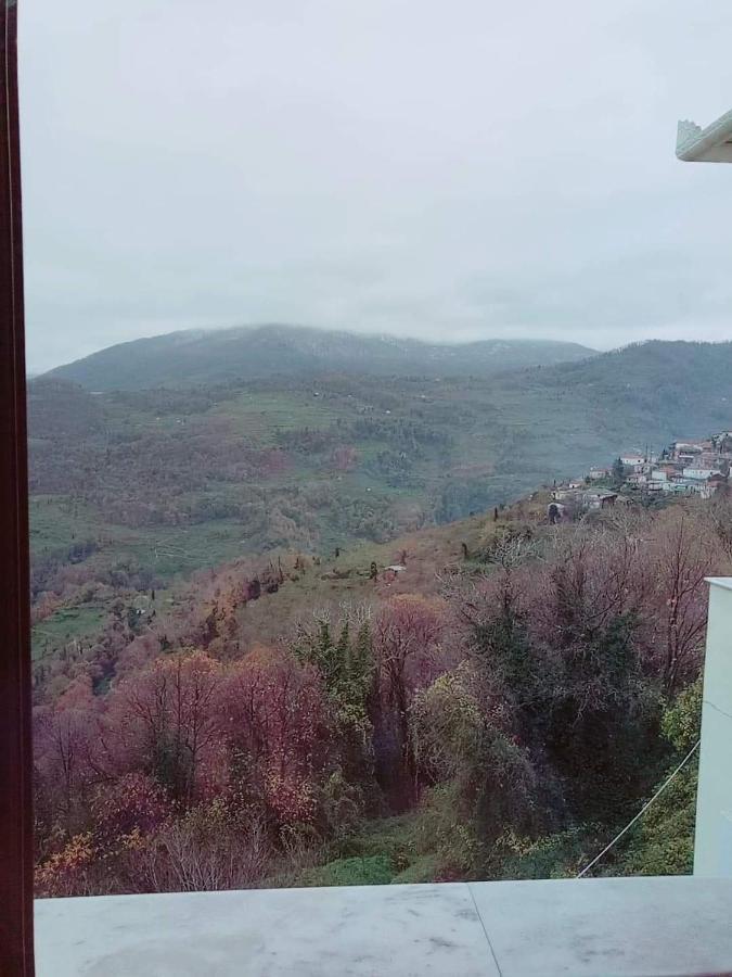 Hotel Evridiki 3*