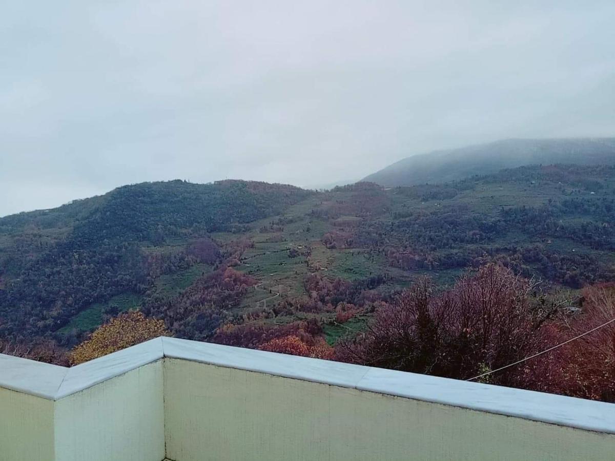 Hotel Evridiki 3*