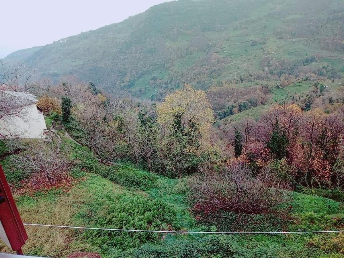 Evridiki 3*
