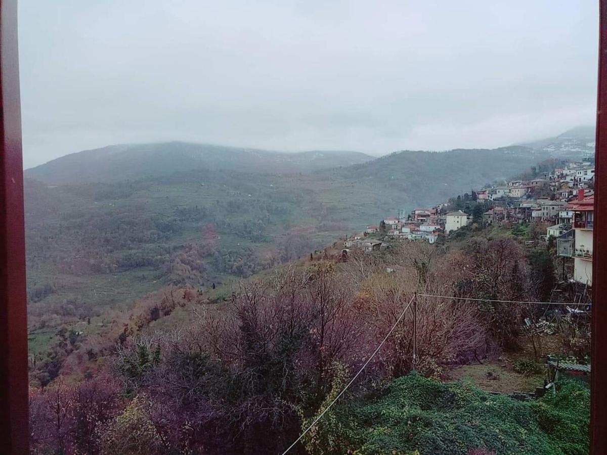 Hotel Evridiki 3*