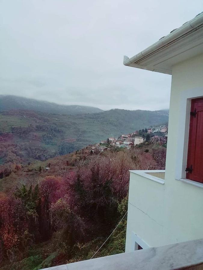 Hotel Evridiki